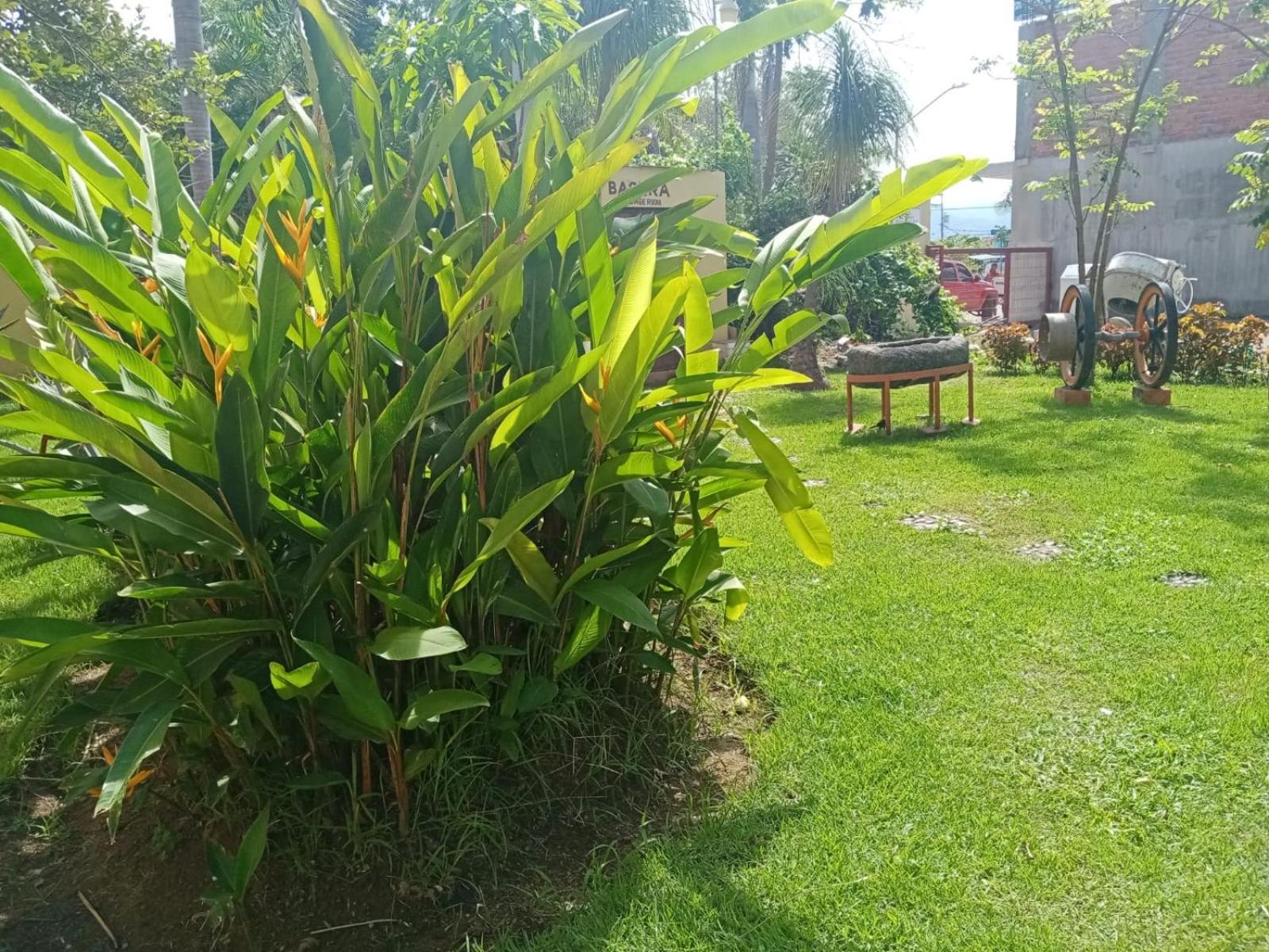 Villas Dulce Suenos Rincon de Guayabitos Eksteriør billede
